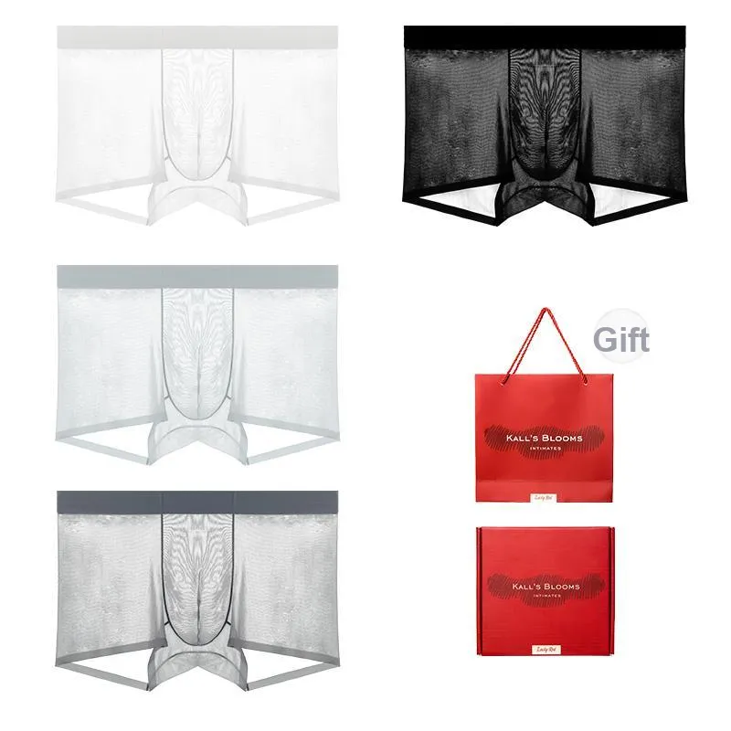Maiden House Underwear Gift Boxes Men's Box 4 Pack