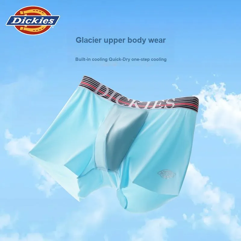 Dickies Underpants Men's Combination Gift Box Set-19