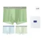 Fruit Green+Mint Green+Glacier Blue