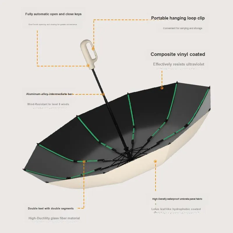 Baudini Umbrellas-1