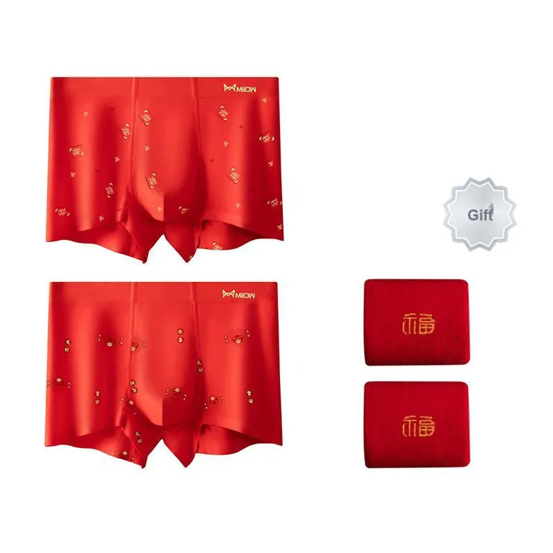 MIIOW Underpants Men's Gift Box Of 2 Strips-7