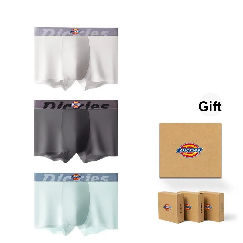 Dickies Underpants Men's Box 3 Pack-0