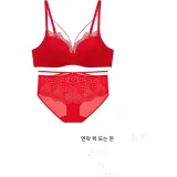 차이나 레드-세트