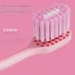 Family Bulk & Soft Bristle Rainbow Toothbrush Set, 4 Pcs*1+C11*4