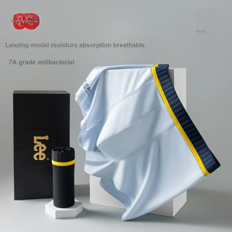 Lee Men Underpants-2