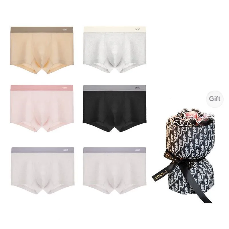 Maiden House Underpants Men's 6 Pack-0