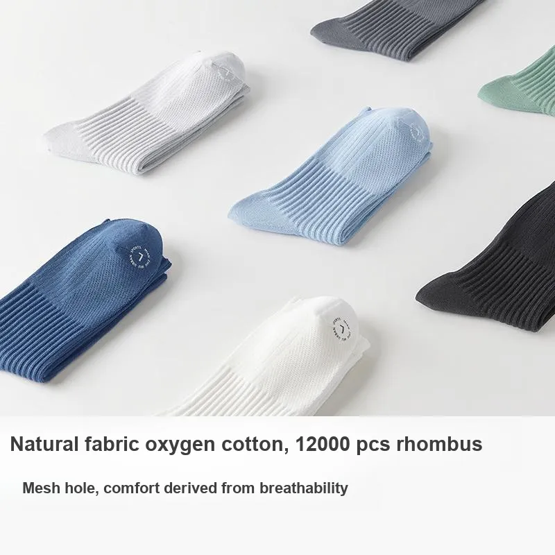 B&C.Room Mid Calf Socks Men's 5 Pack-5