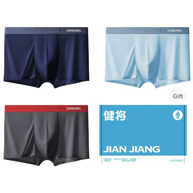 Master Underpants Men's Box 3 Pack-5