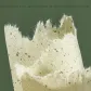 Chamomile Fragrance Blotting Paper[100 Pcs]