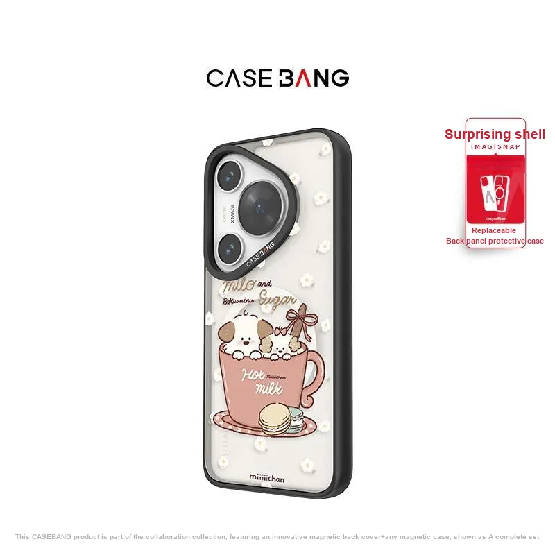 CASEBANG Phone Cases-13