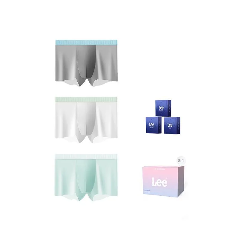 Lee Underpants Men's Box 3 Pack-1
