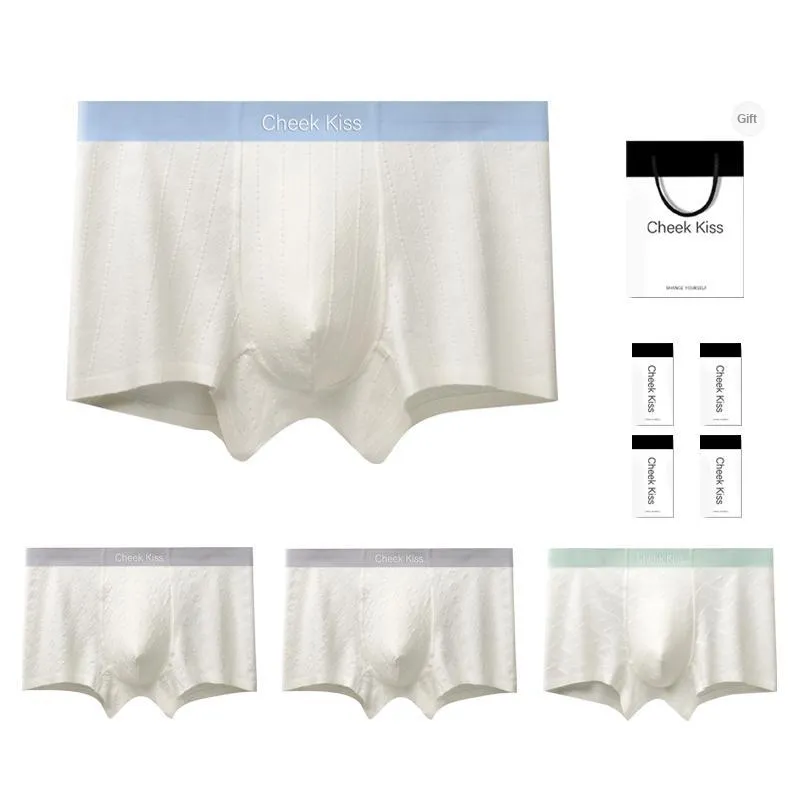 Cheekkiss Underpants Men's Box 4 Pack-5