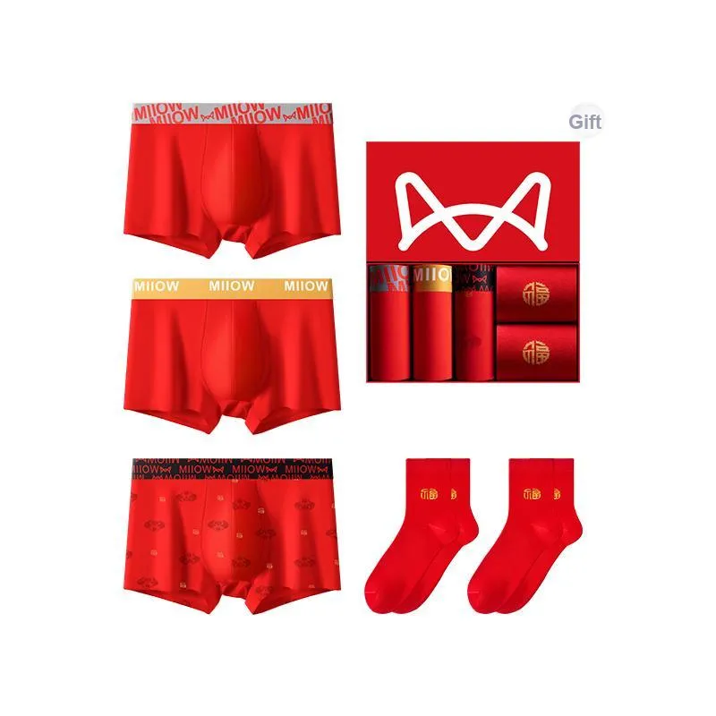 MIIOW Underwear Gift Box Men's 3 Pack+2 Pack Socks