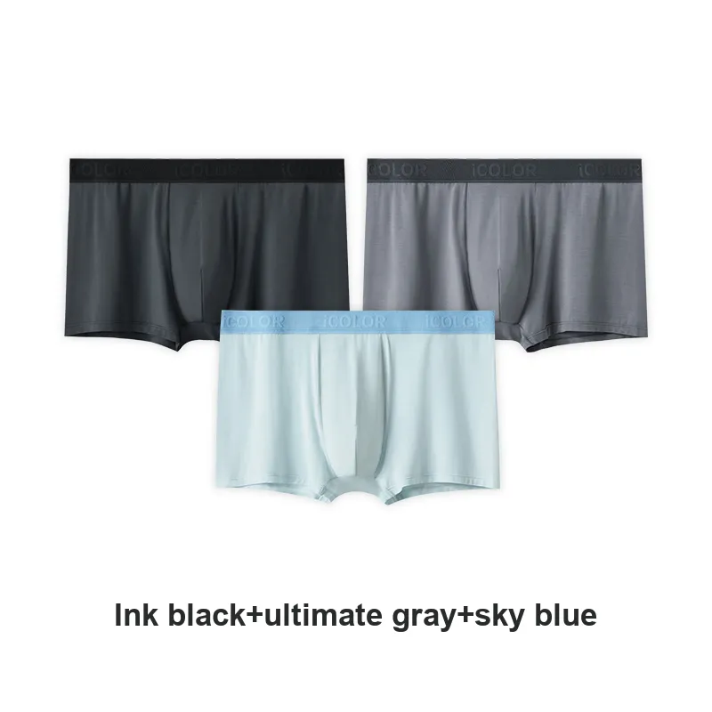 Icolor Men Underpants-17