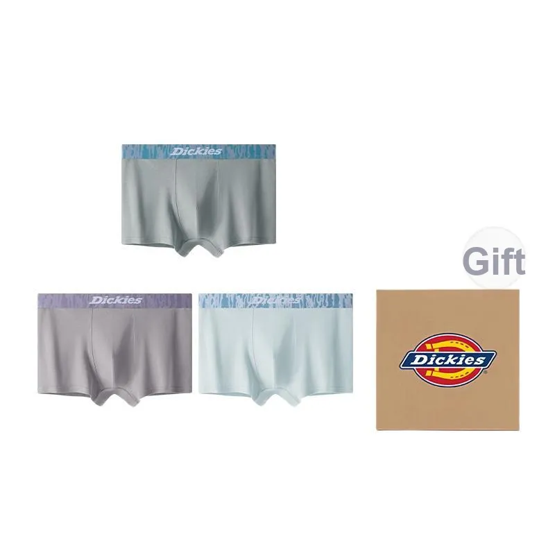 Dickies Underpants Men's Box 3 Pack-20