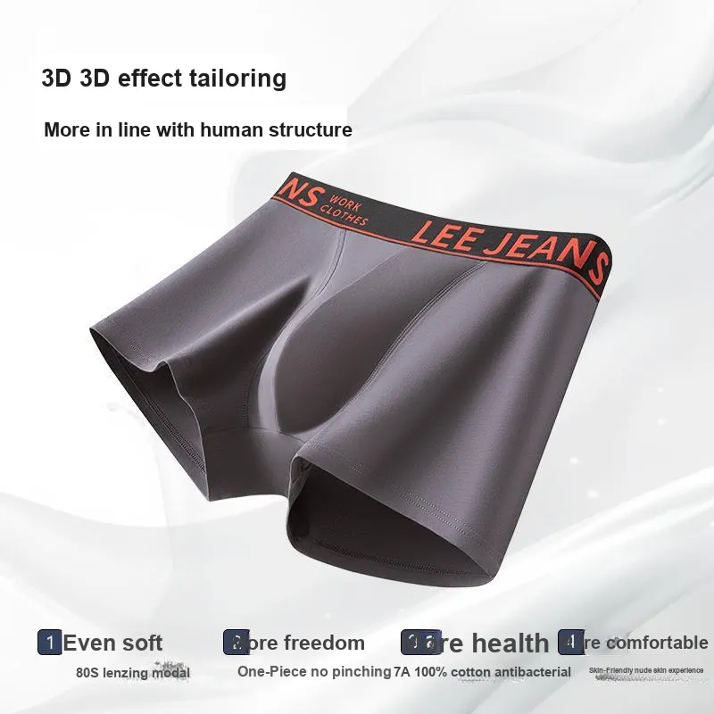 Lee 101 Years Commemoration Collection Underpants Men's Box 3 Pack-10
