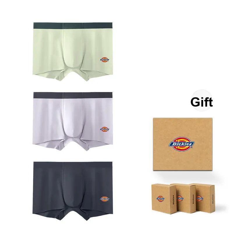 Dickies Underpants Men's Box 3 Pack-0