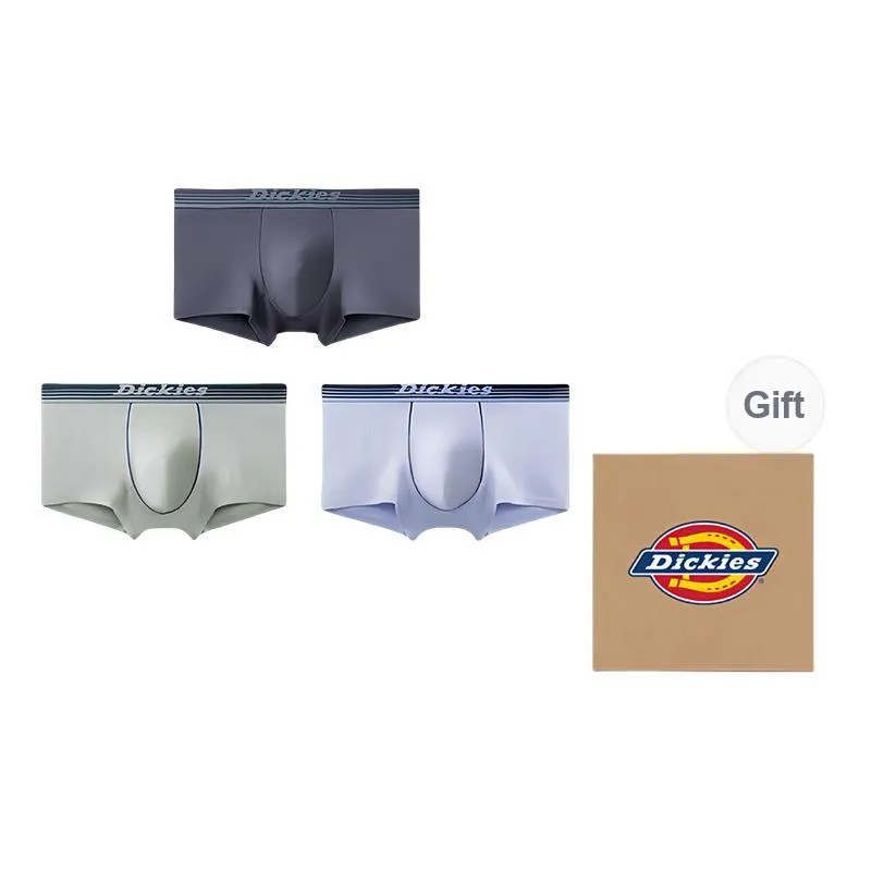 Dickies Underpants Men's Box 3 Pack-10