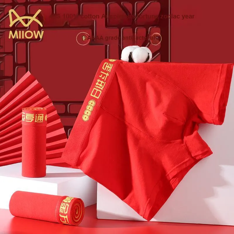 MIIOW Honmei Honmei Series Underpants Men's Combo Set-1