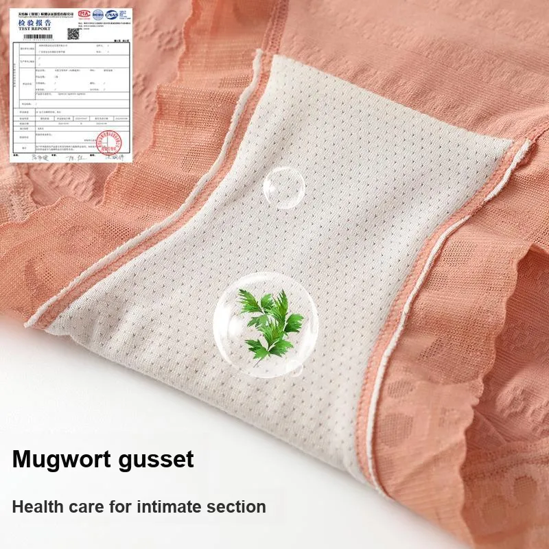 The New Age Family Underpants Women's 4 Pack-4
