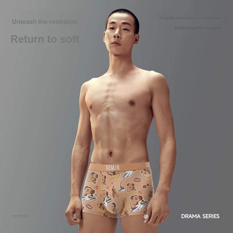 SEM/R Underpants Men's 3 Pack Capybara-1