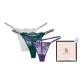Box 3 Pack (Purple+Dark Green+Gray)