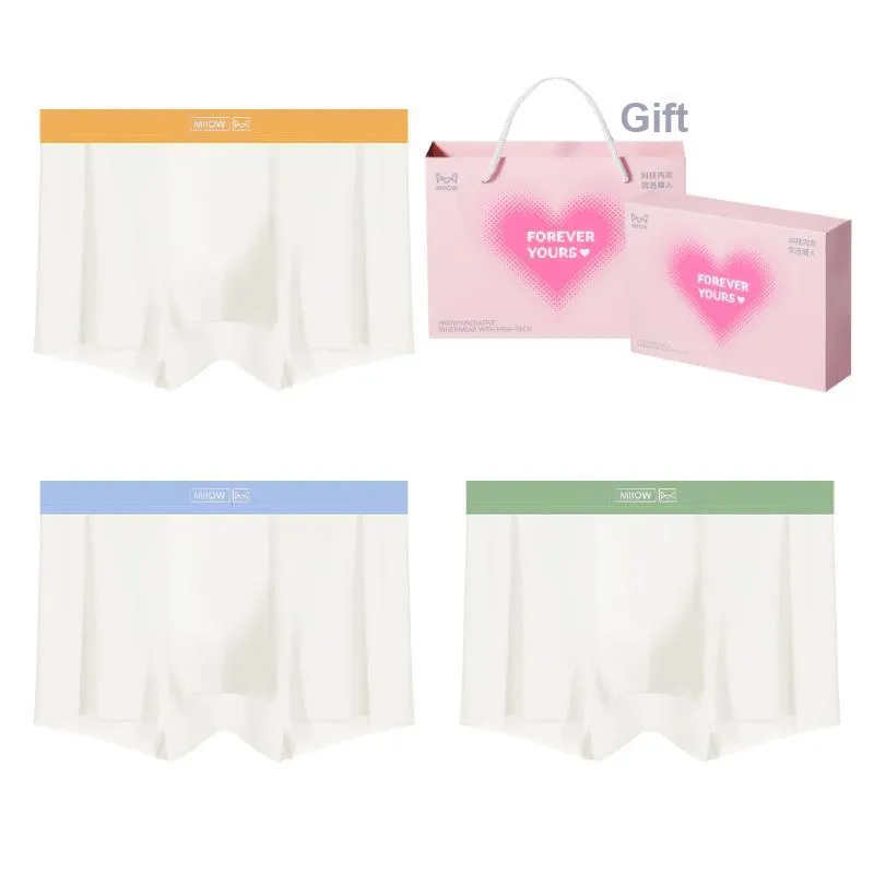 MIIOW Underpants Men's Box 3 Pack-21