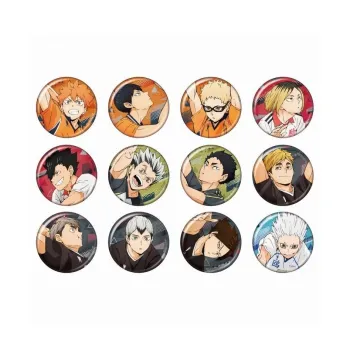 Animate Haikyuu!! Anime Version Badges
