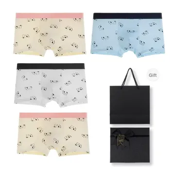 Maiden House Underwear Gift Box Men's 4 Pack