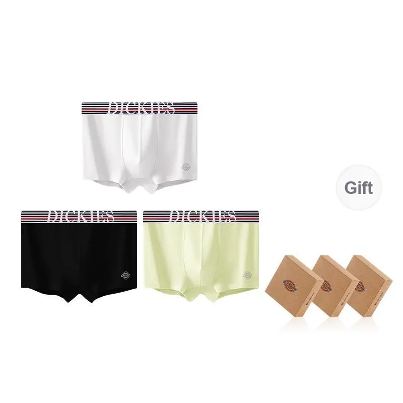 Dickies Underpants Men's Combo Set-66