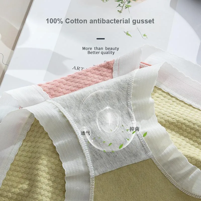 Cotton Gene Underpants Women's 2 Pack-3