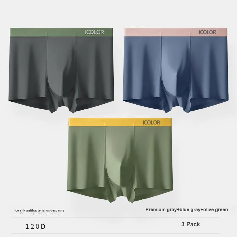 Icolor Men Underpants-1