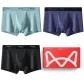 Fruit Green/Dark Blue/Black