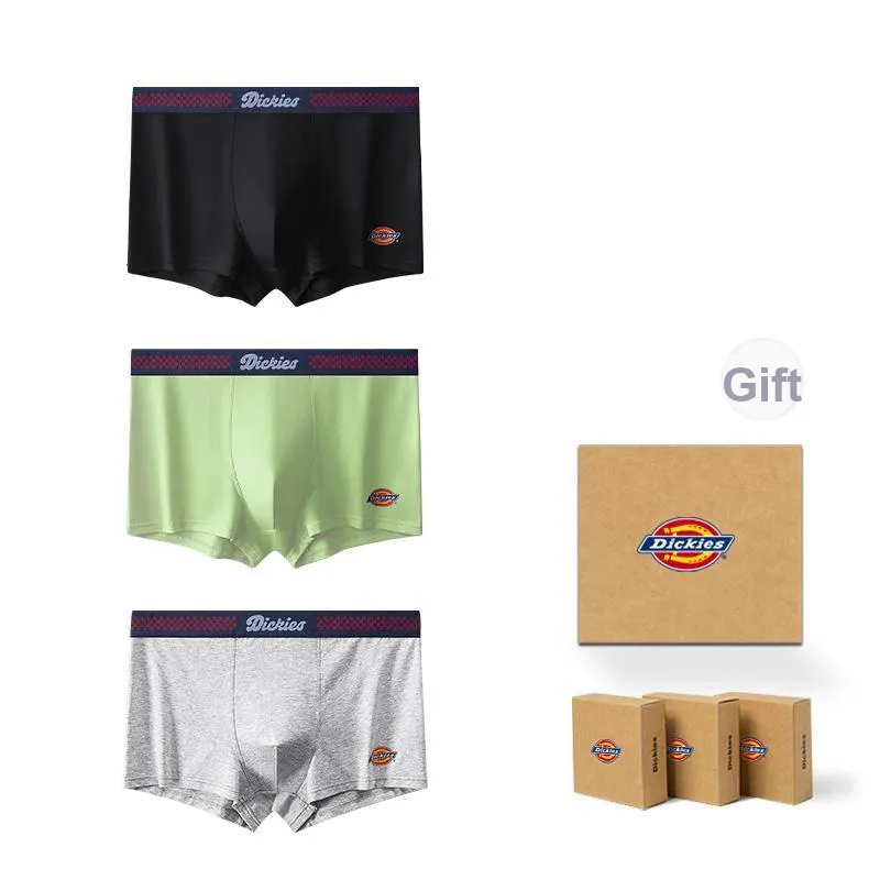 Dickies Underpants Men's Gift Box Combination-19