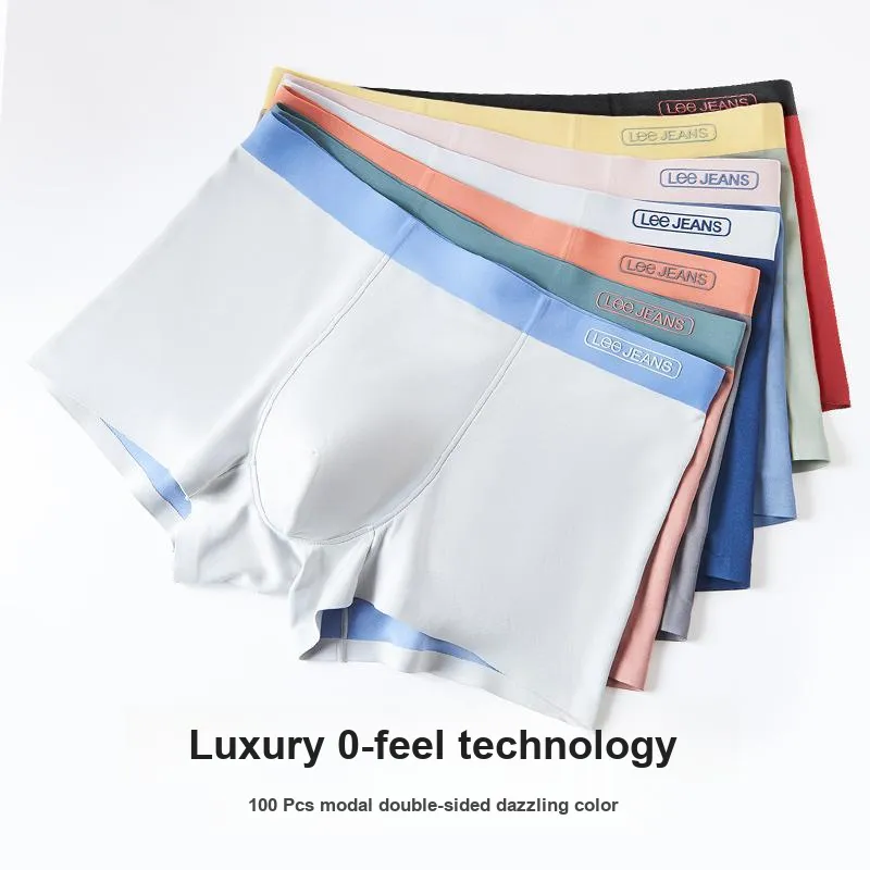 Lee Men Underpants-3