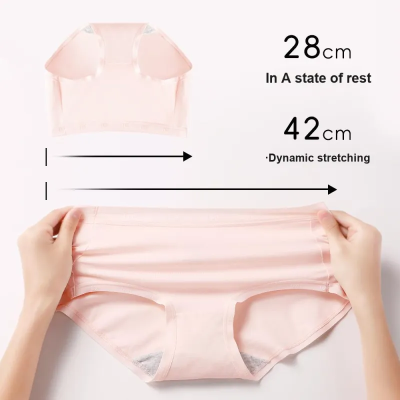 Lee Underwear Gift Box Women's 4 Pack-2