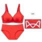 Red--[Box *1]