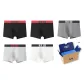 Box 5 Pack (Black+Black+Gray Green+Light Gray+White)