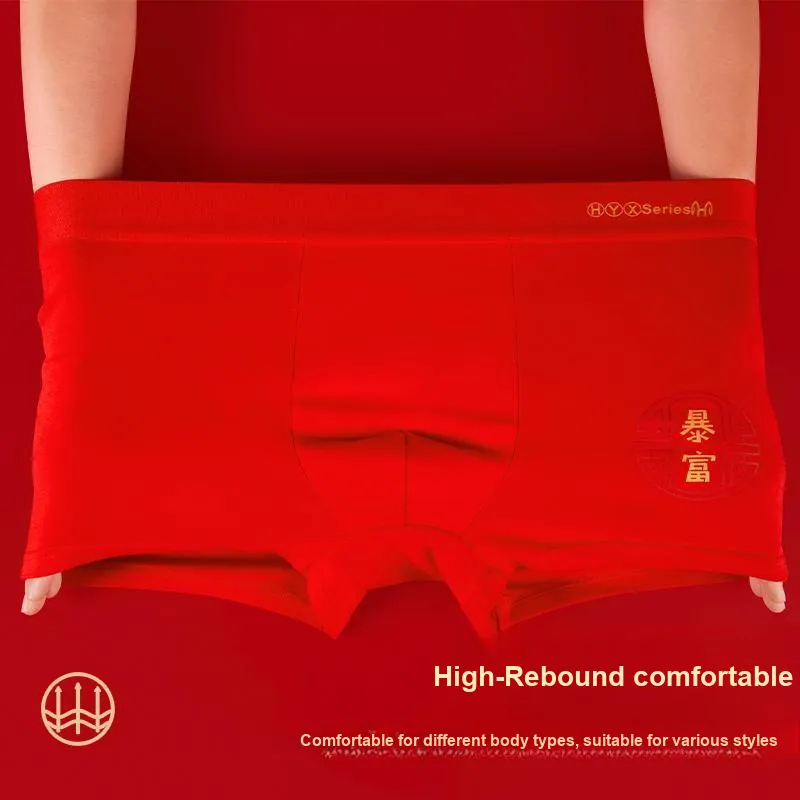 H YXIANG Underpants Men's 4 Pack-3