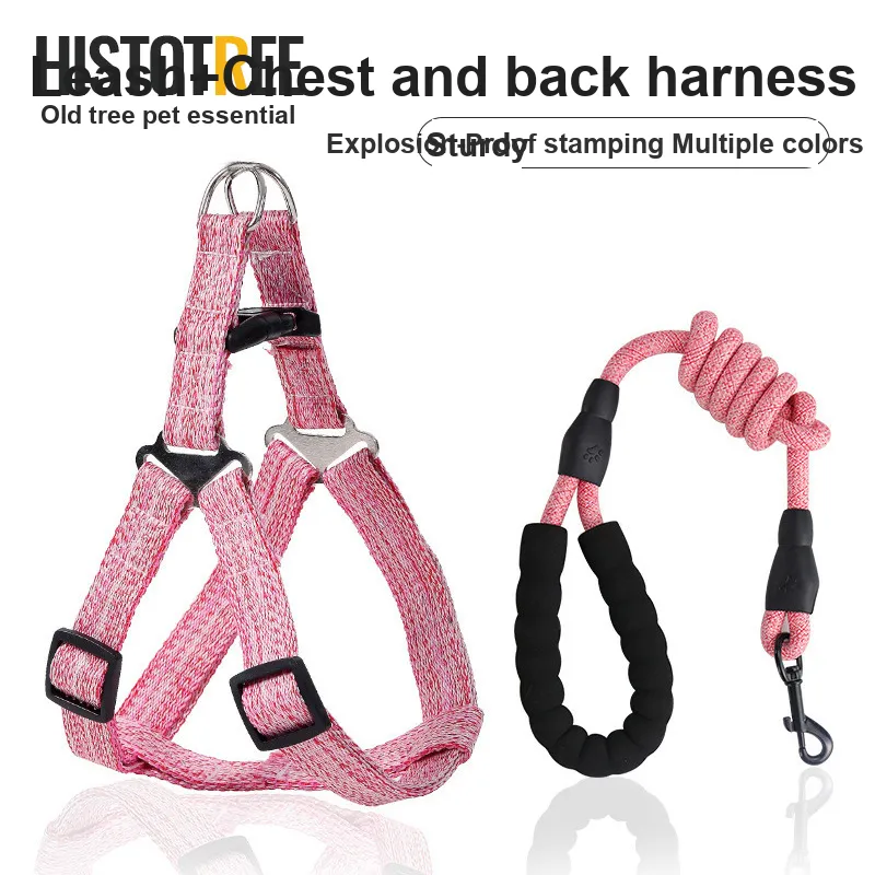HISTOTREE Leashes-1