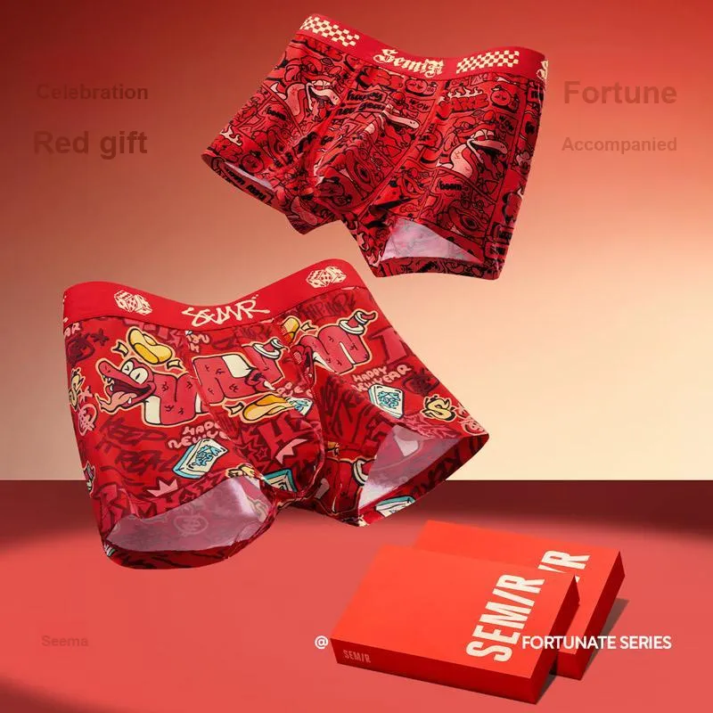 SEM/R Underpants Men's Combo Set-2