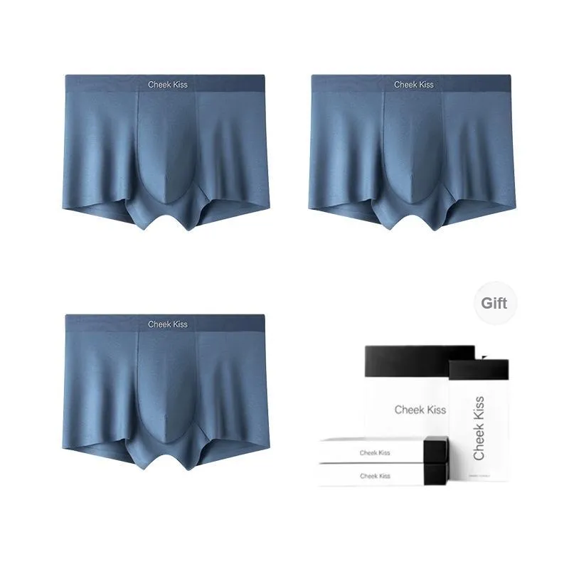 Cheekkiss Underwear Gift Boxes Men's 3 Pack-10