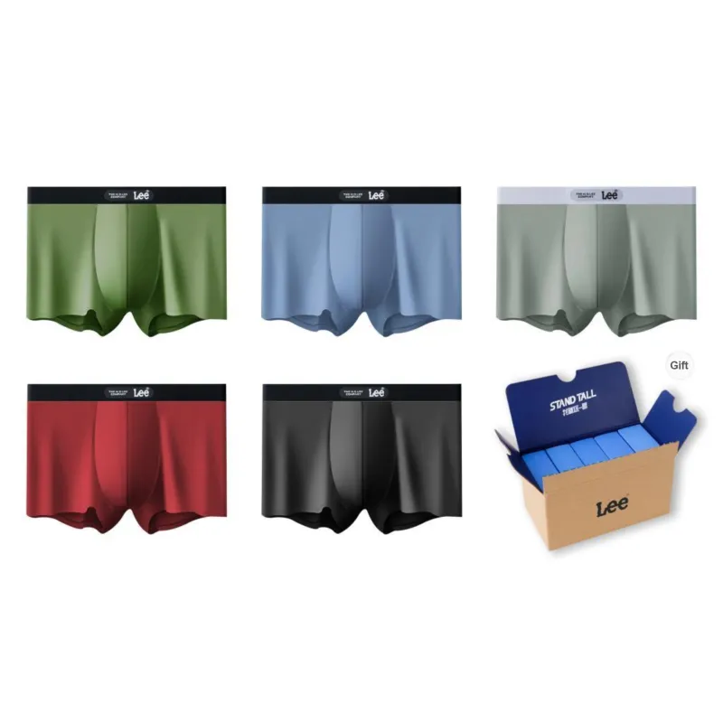 Lee Underpants Men's 5 Pack Gift Box Set-12