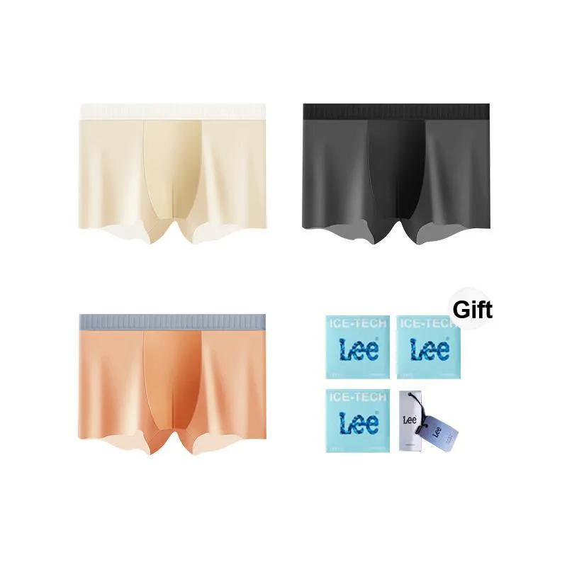 Lee Underpants Men's Box 3 Pack-13