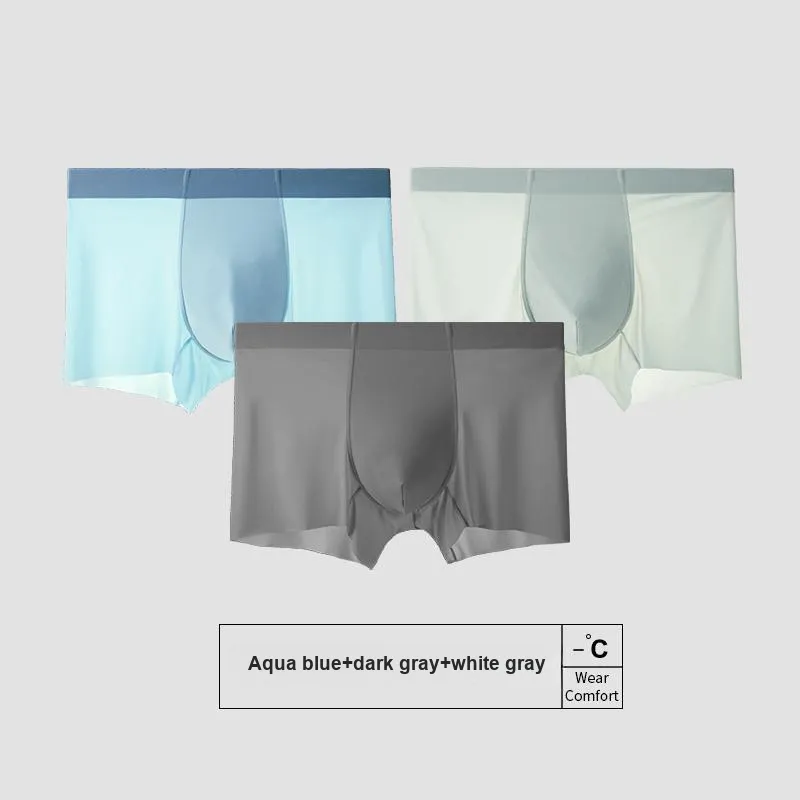 Icolor Men Underpants-13