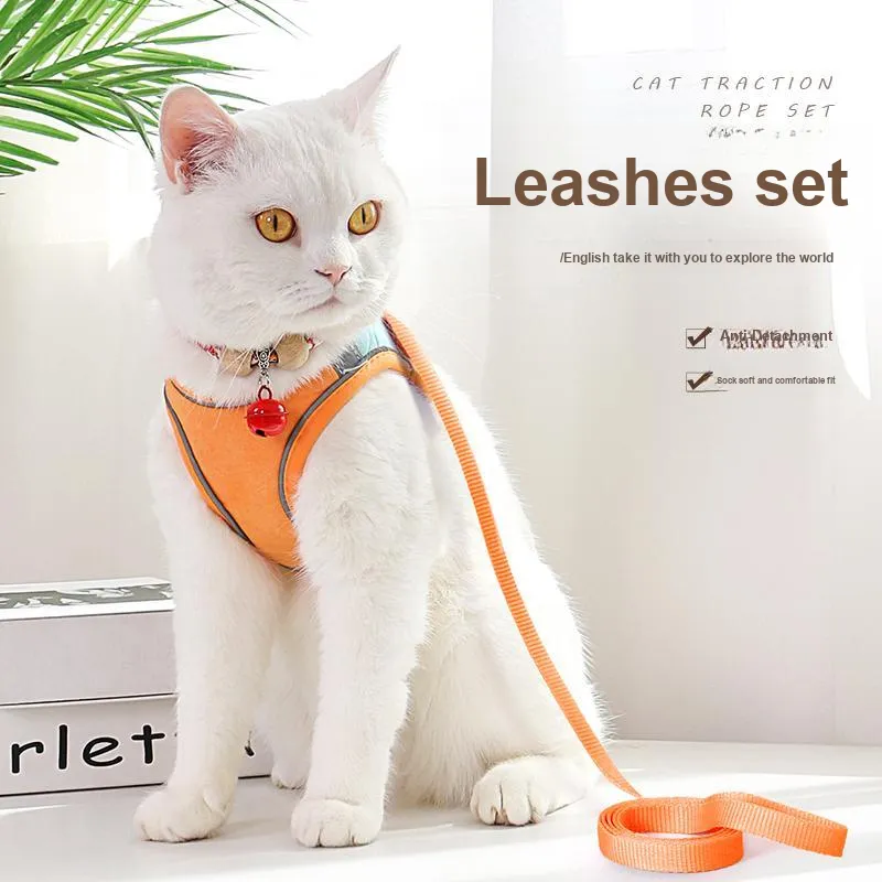 Pampering Leashes-1