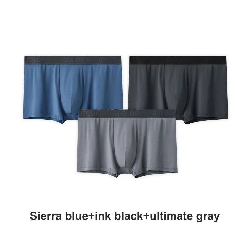 Icolor Men Underpants-19