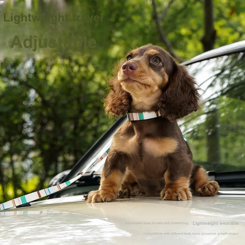 Zeze Leashes-2