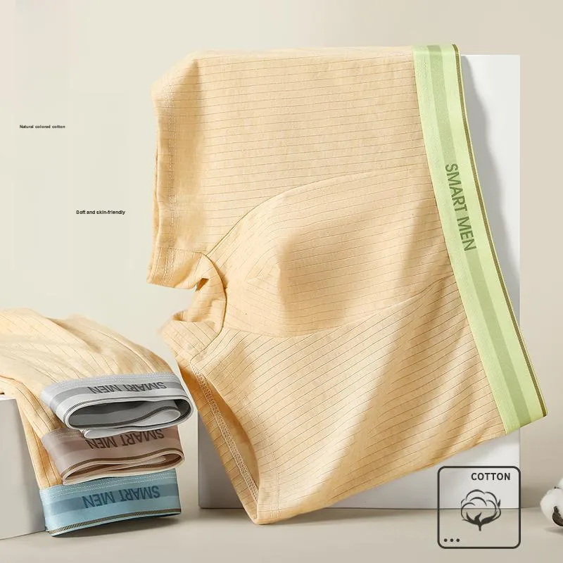 Lan Miao Men Underpants-4