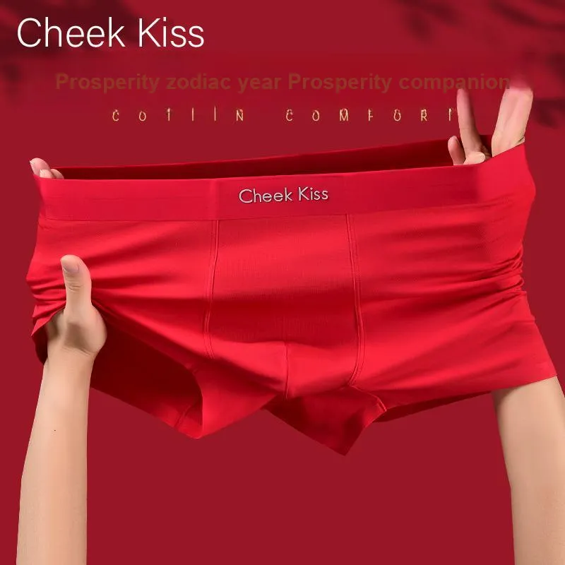 Cheekkiss Underwear Gift Boxes Men's 3 Pack-19